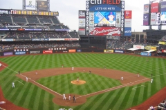 Field 39