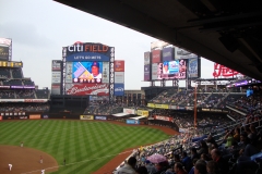 Field 48