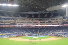Marlins Park 013