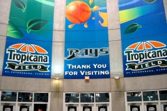 Tropicana Field 07