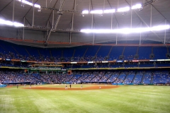 Tropicana Field 06