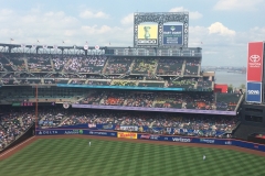 Citi Field Left Field