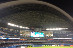 Roof Open